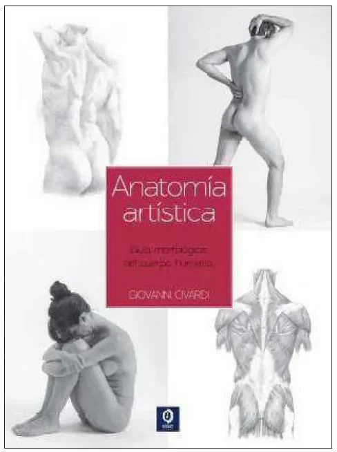 Guia esencial del dibujo anatomia artistica