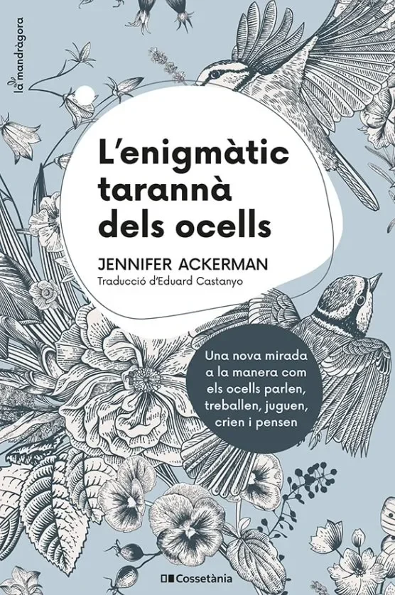 L´enigmatic taranna dels ocells