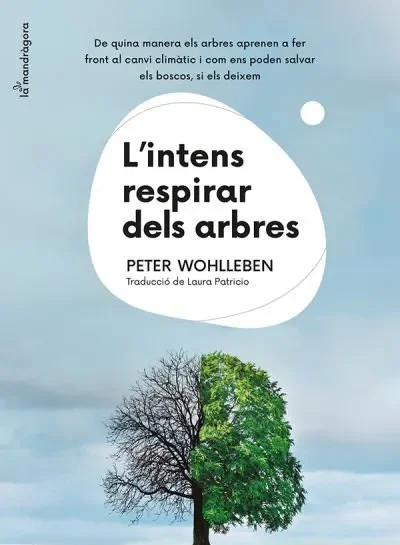 L´intens respirar dels arbres
