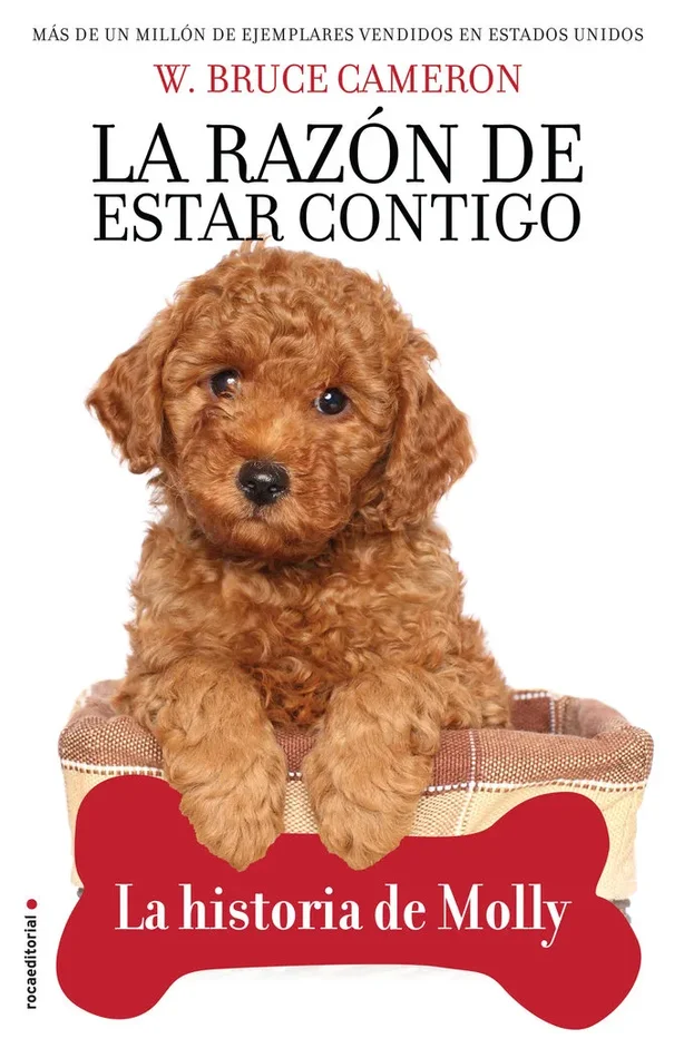 La razon de estar contigo la historia de