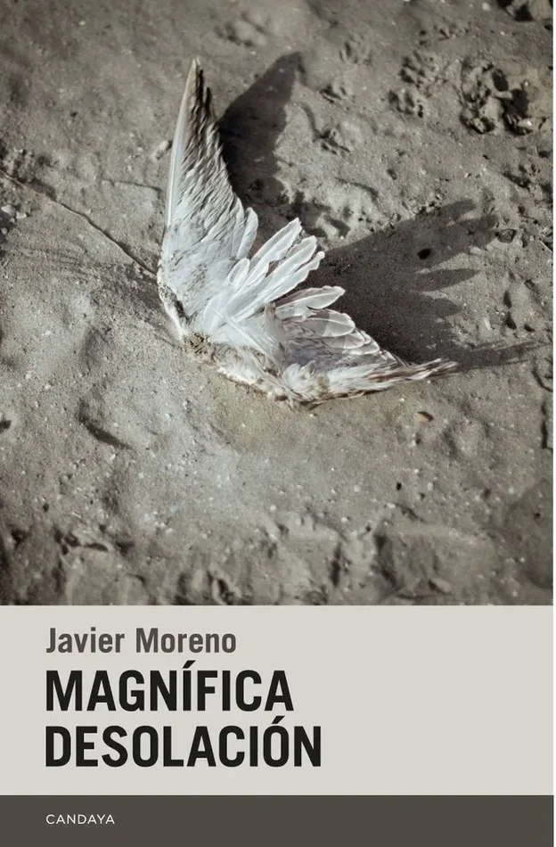 Magnifica desolacion