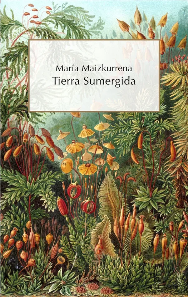 Tierra sumergida